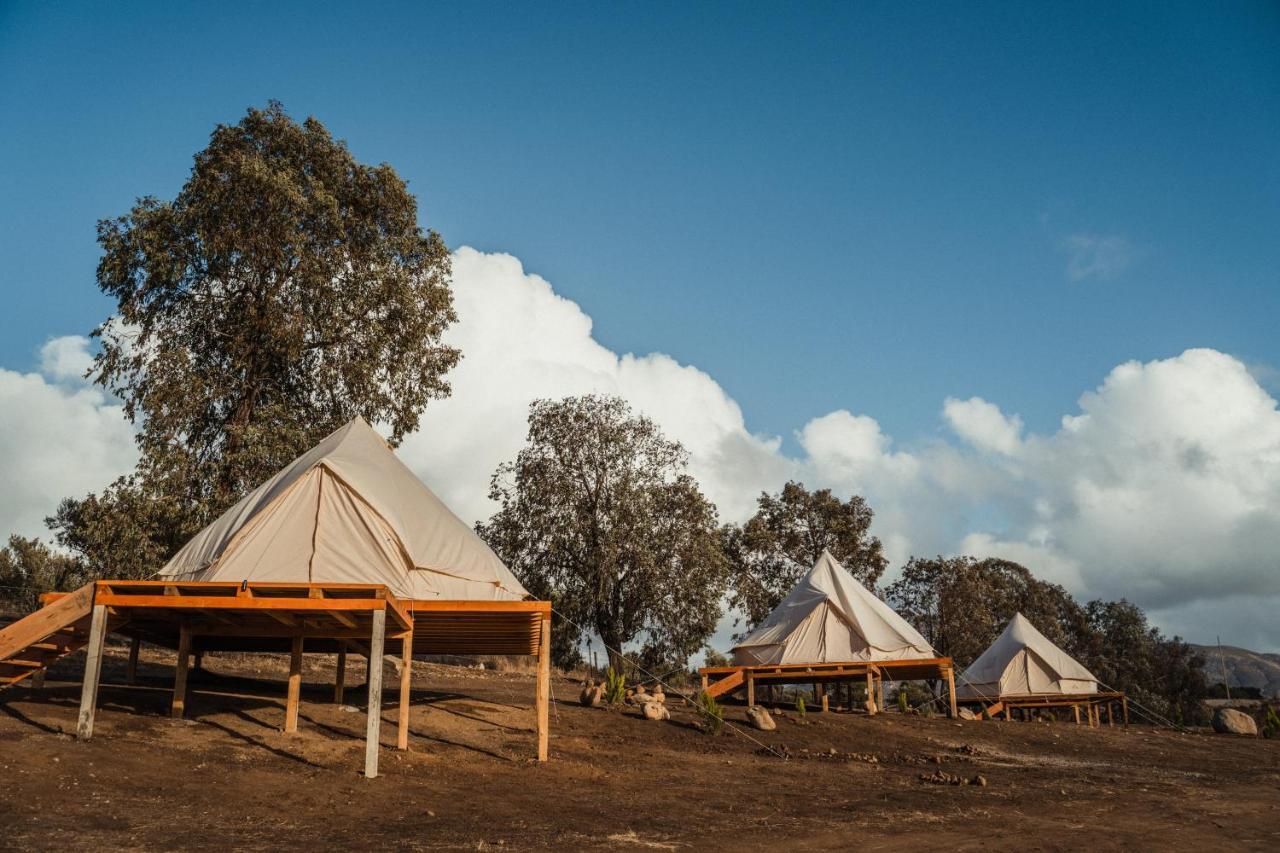 Lago Valle Wine Glamping 瓜达鲁佩镇 外观 照片