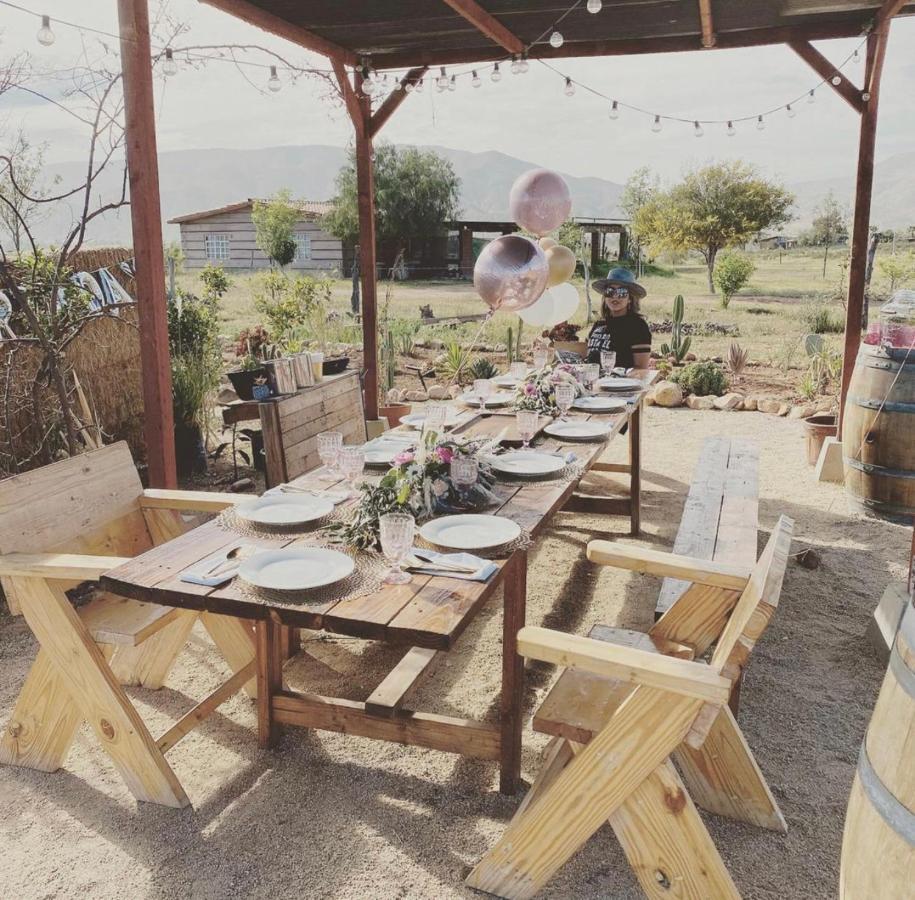 Lago Valle Wine Glamping 瓜达鲁佩镇 外观 照片
