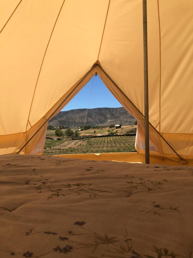 Lago Valle Wine Glamping 瓜达鲁佩镇 外观 照片
