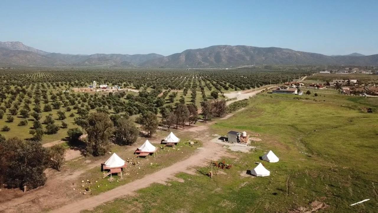 Lago Valle Wine Glamping 瓜达鲁佩镇 外观 照片