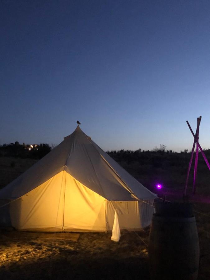 Lago Valle Wine Glamping 瓜达鲁佩镇 外观 照片