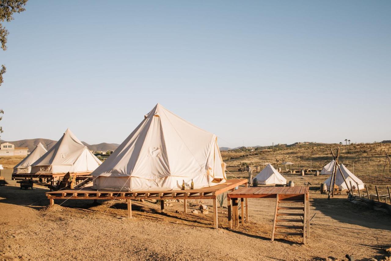Lago Valle Wine Glamping 瓜达鲁佩镇 外观 照片