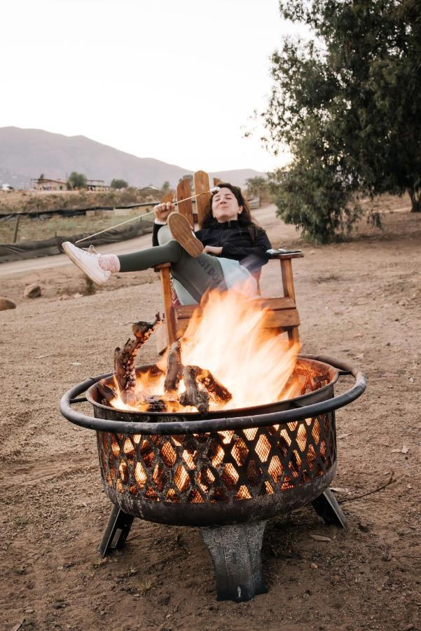Lago Valle Wine Glamping 瓜达鲁佩镇 外观 照片