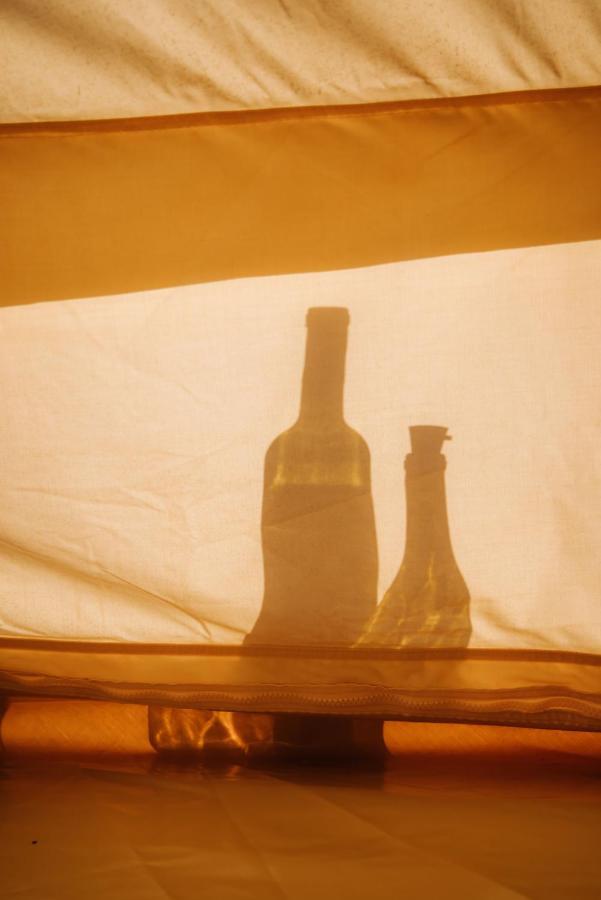 Lago Valle Wine Glamping 瓜达鲁佩镇 外观 照片