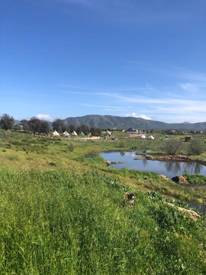 Lago Valle Wine Glamping 瓜达鲁佩镇 外观 照片