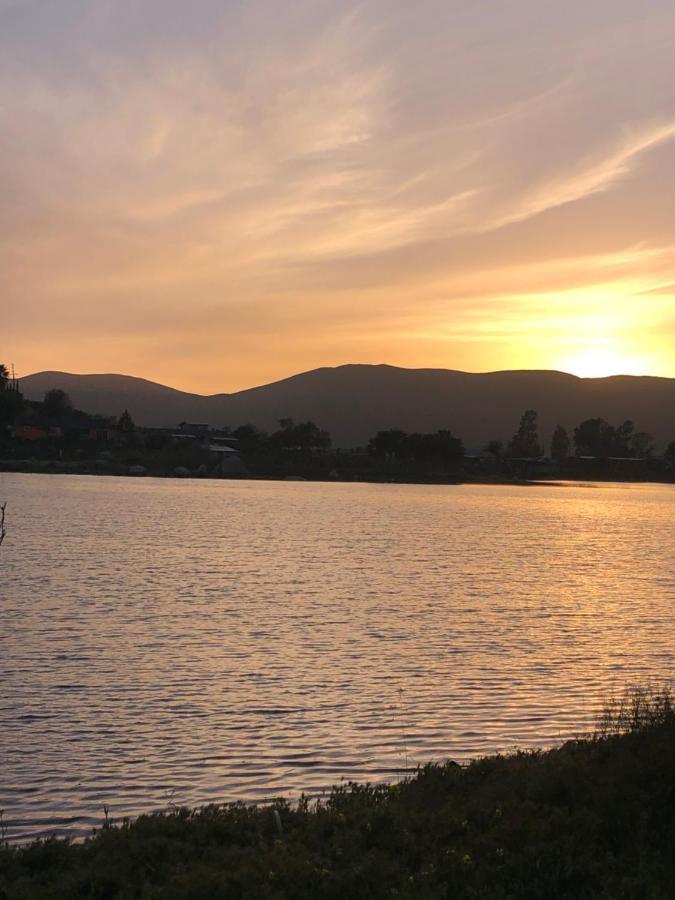 Lago Valle Wine Glamping 瓜达鲁佩镇 外观 照片