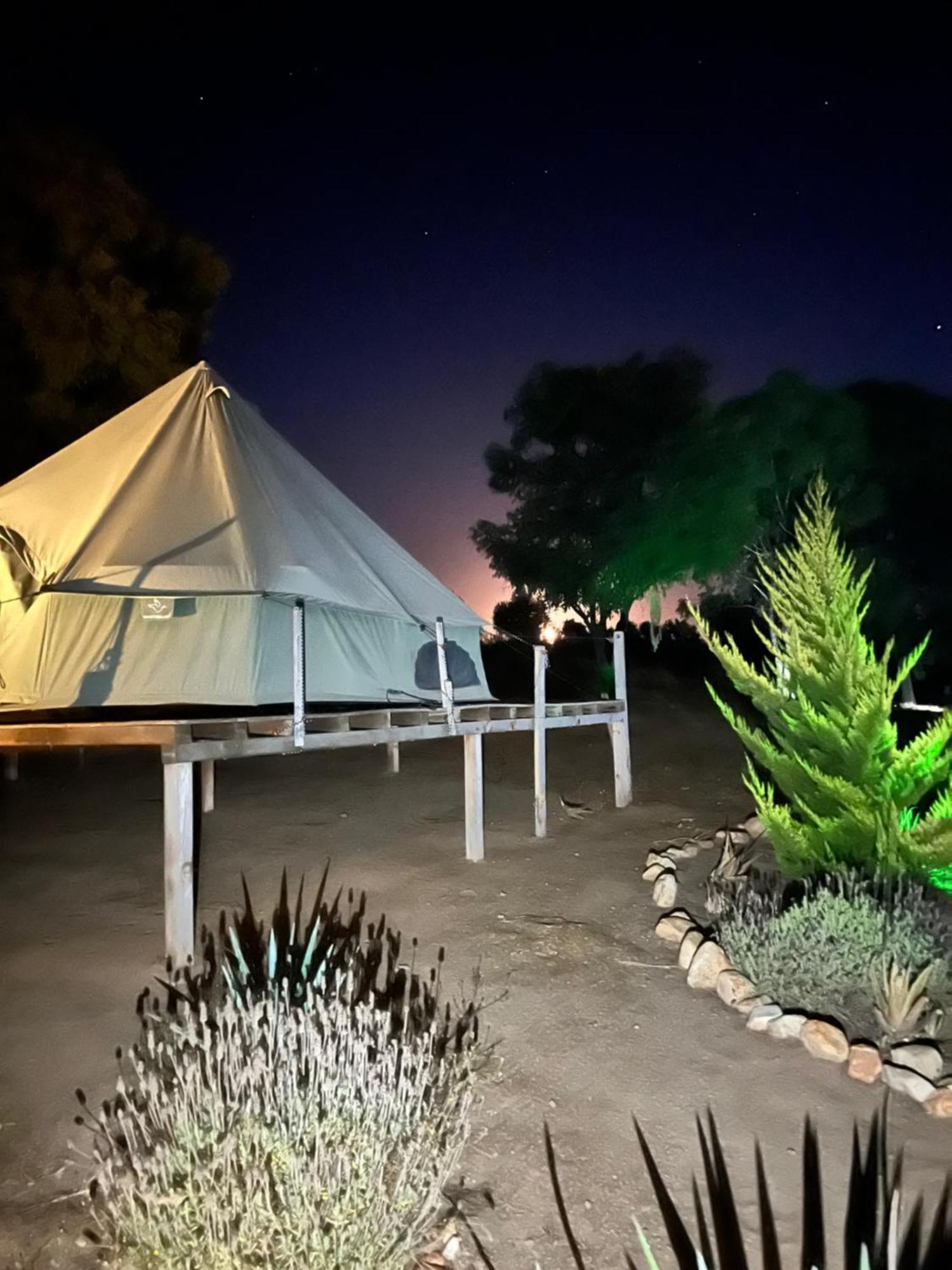 Lago Valle Wine Glamping 瓜达鲁佩镇 外观 照片