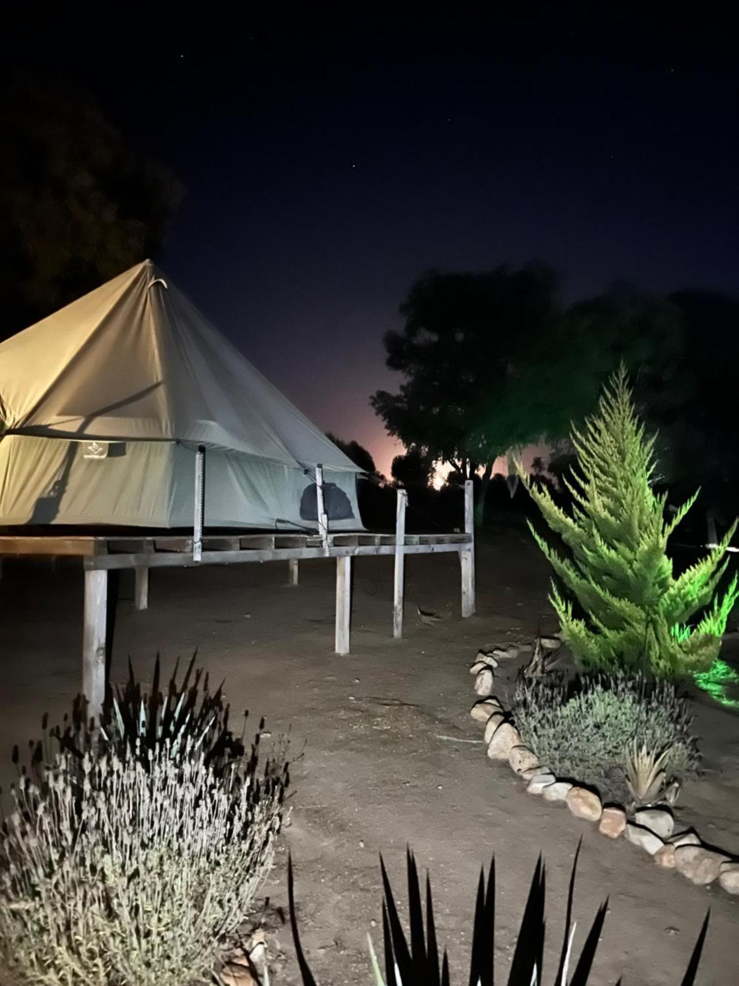 Lago Valle Wine Glamping 瓜达鲁佩镇 外观 照片